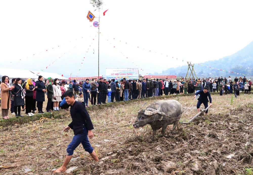 Nghi thức cày bừa trong lễ cúng đồng mở đầu cho một năm mưa thuận gió hòa (ảnh st)