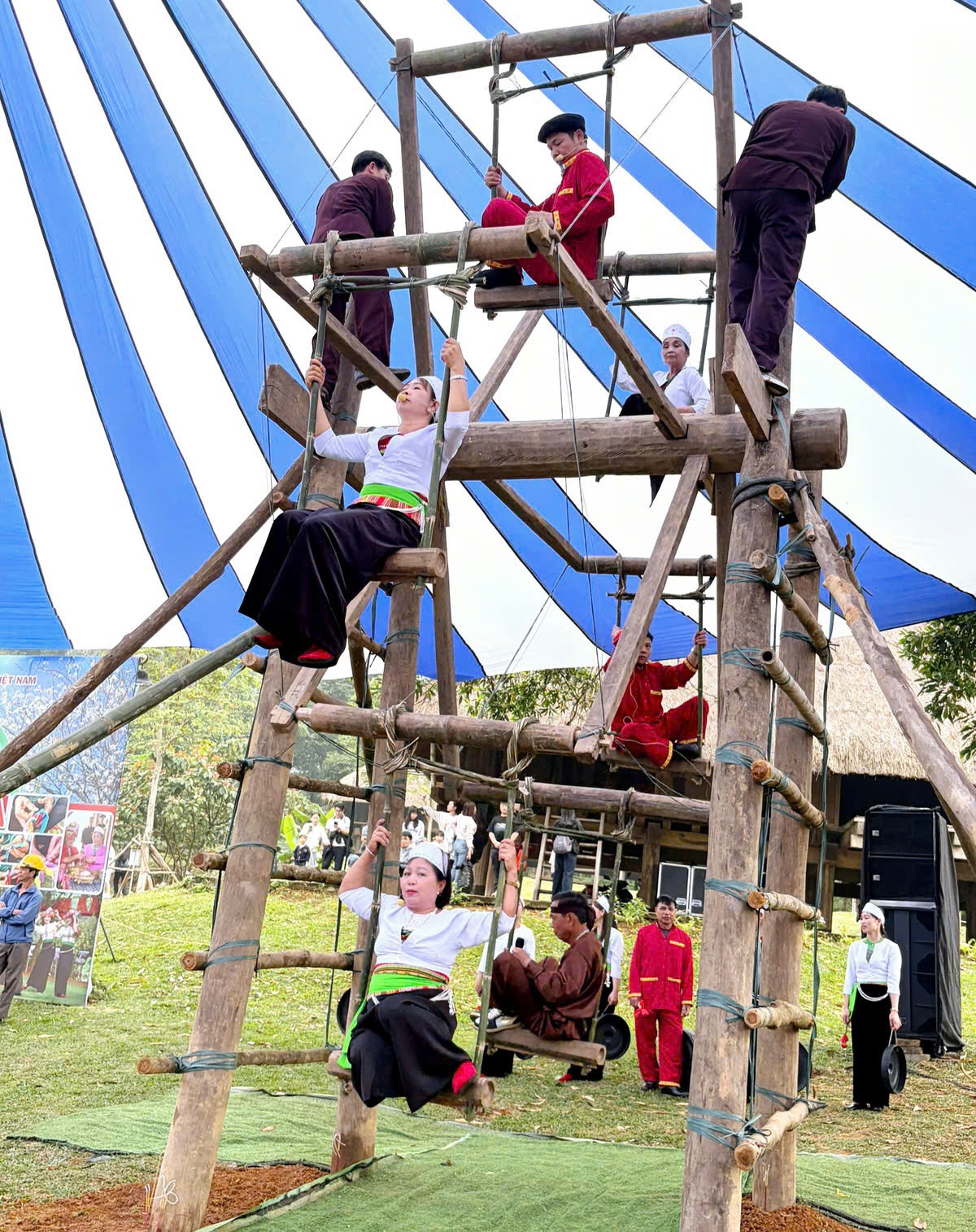 Ví đu thực sự trở thành linh hồn của ngày xuân. 