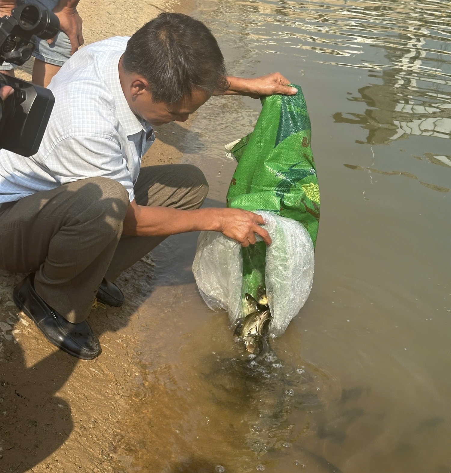 Việc thả cá giống xuống lòng hồ nhằm tạo sinh kế, nâng cao ý thức, trách nhiệm người dân trong khai thác và bảo vệ nguồn lợi thủy sản
