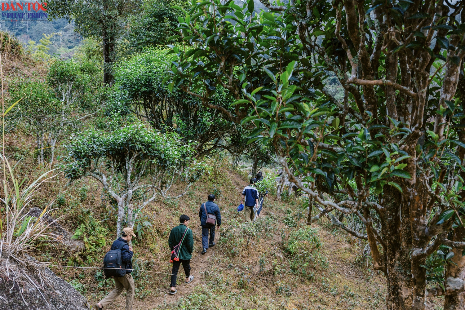 Những cán bộ làm công tác dân tộc địa phương trên đường tới các thôn bản có người Cờ Lao đỏ sinh sống