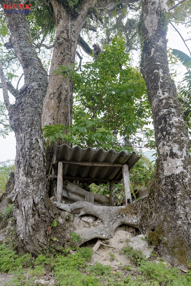 Ngôi miếu thiêng thờ Thần rừng của đồng bào dân tộc Cờ lao tại xã Tân Tiến