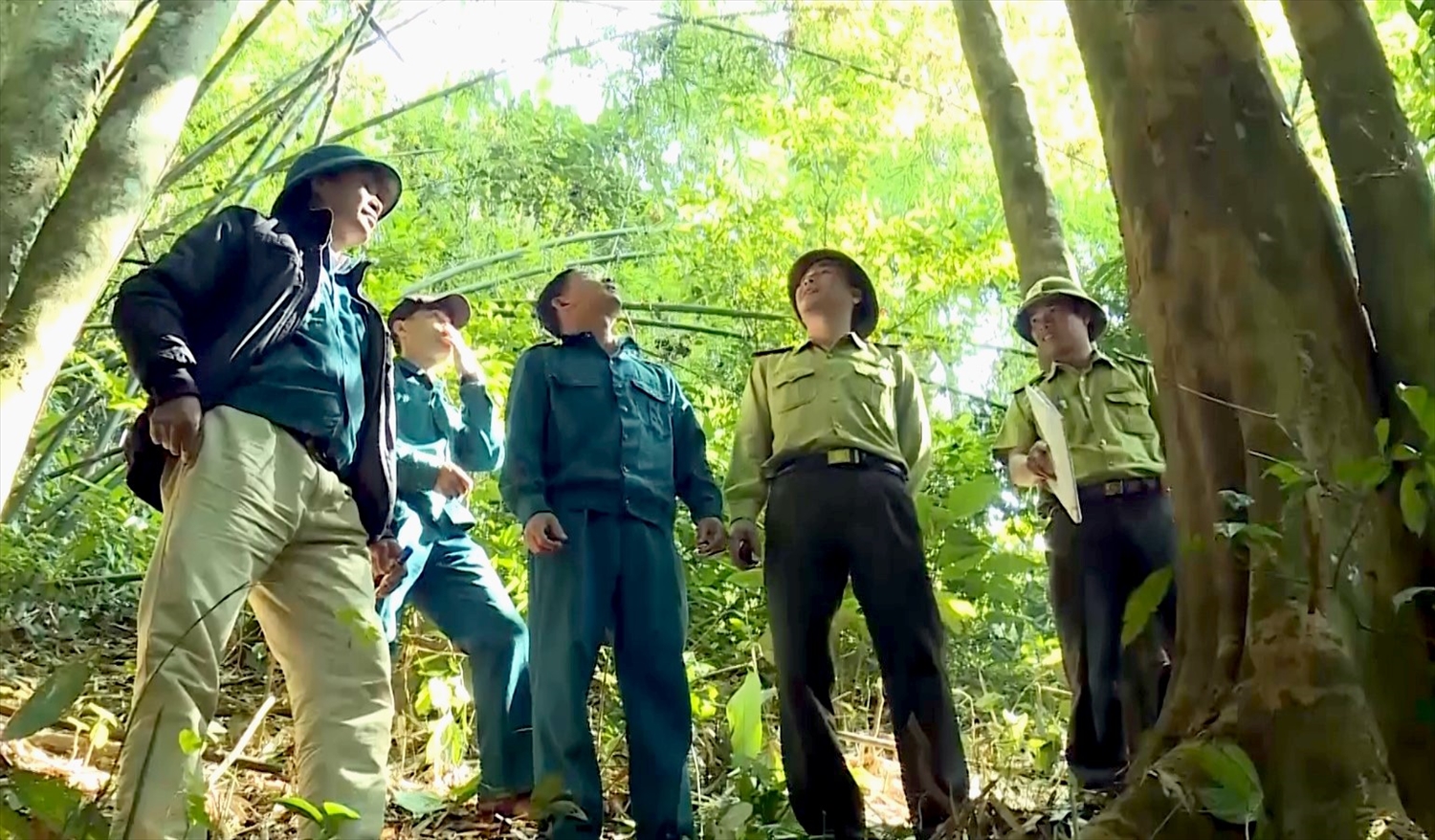 Giữ rừng không chỉ là trách nhiệm, mà còn trở thành nguồn thu nhập của người dân miền núi Thanh Hóa.