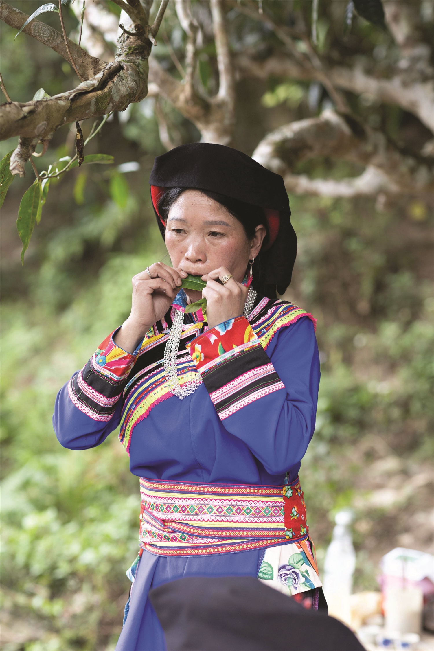 Chị Min Thị Nguyệt trình diễn kèn lá - một loại nhạc cụ mộc mạc gắn với đời sống văn hóa của người Cơ Lao