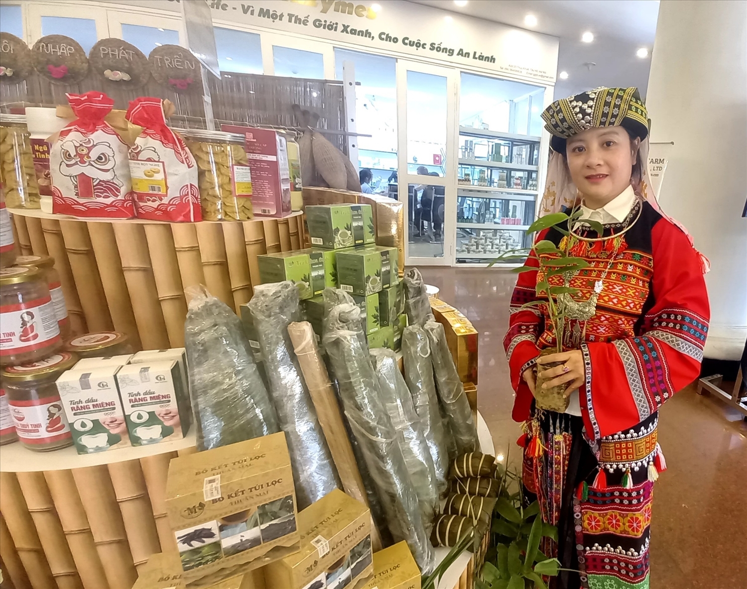 Chị Đinh Thị Thu khởi nghiệp với mô hình phát triển kinh tế từ các cây trồng bản địa 