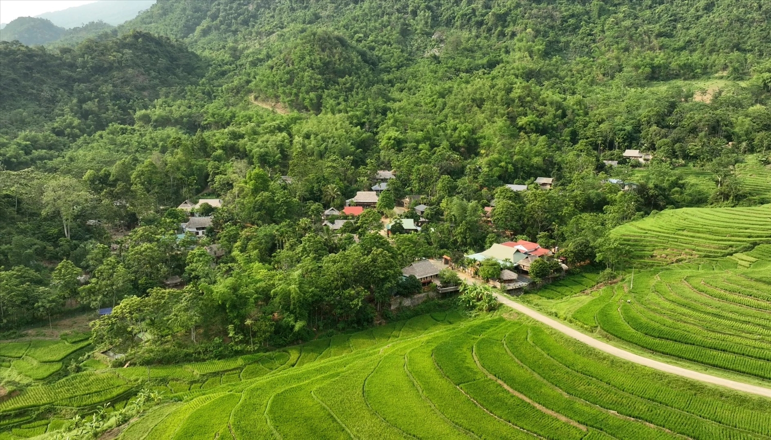 Một góc thôn Nghèo, xã Hồi Xuân hôm nay với diện mạo xanh tươi, từng bước đổi thay nhờ phát triển kinh tế từ cây trồng bản địa.