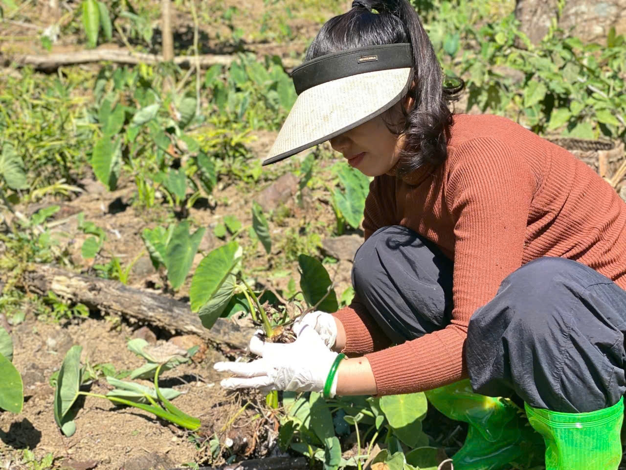 Người dân thôn Nghèo, xã Hồi Xuân trồng, chăm sóc cây khoai mán ruột vàng.