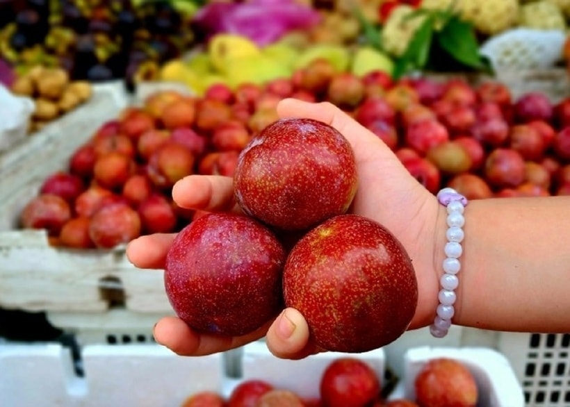 Trong 3 tháng đầu năm 2026, Sơn La đã tiêu thụ đạt 12.500 tấn, cho giá trị 360 tỷ đồng. Ảnh: ITN