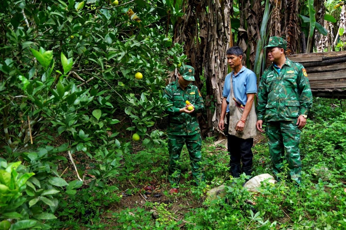 Ông Hoa Phò Ngành, Người có uy tín bản Xốp Lau, xã Mường Típ không chỉ tích cực cùng Bộ đội Biên phòng tuần tra, bảo vệ đường biên, cột mốc mà còn tiên phong làm kinh tế trên vùng biên viễn.