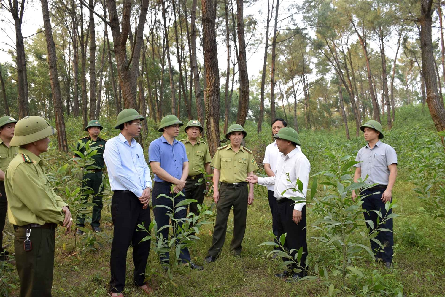 Phó Chủ tịch UBND tỉnh Nghệ An Nguyễn Văn Đệ (thứ 2 phải sang) kiểm tra công tác phòng chống cháy rừng tại lô 21 khoảnh 5 tiểu khu 877A tại xã Bình Minh - Ảnh: T.H