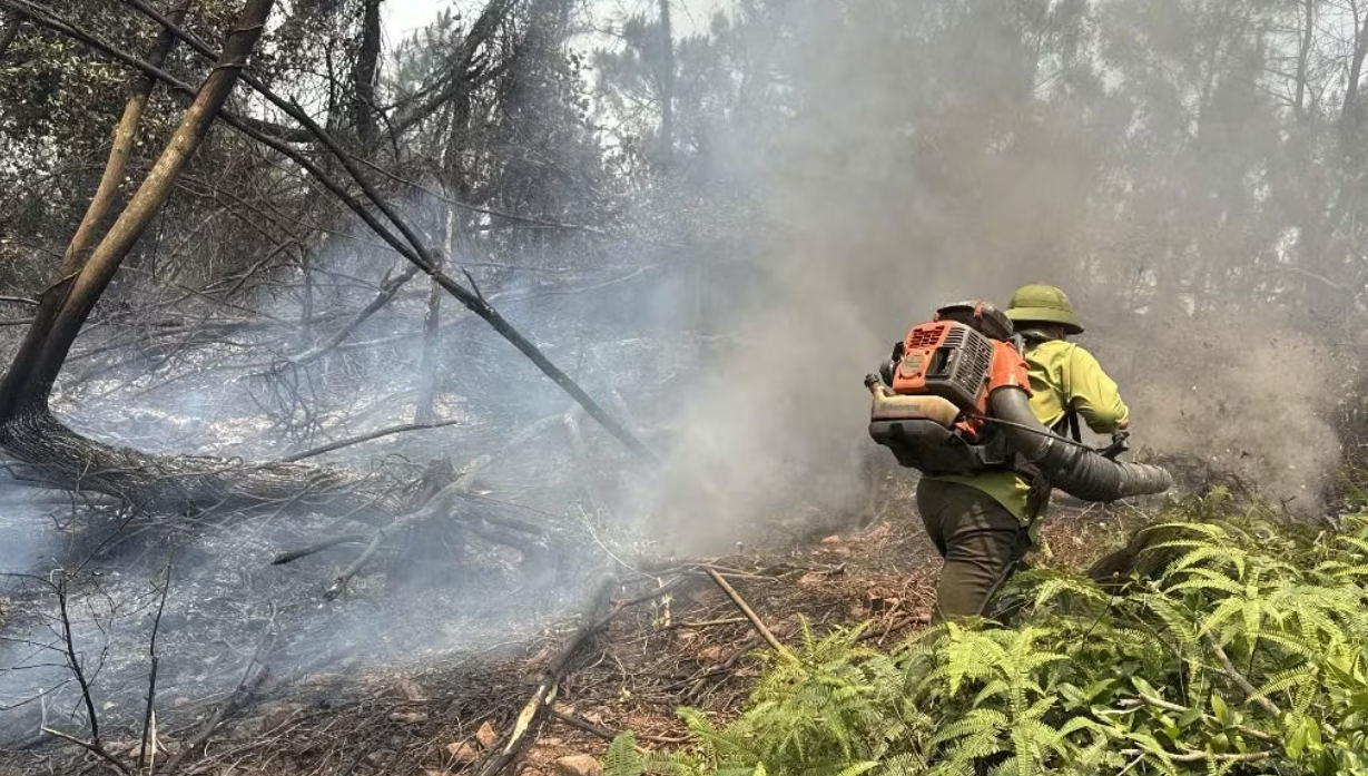 Chỉ vì những bất cẩn của con người mà những cánh rừng đã bị thiêu rụi - Ảnh: T.H