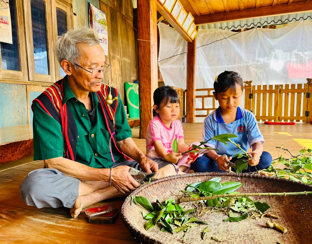 Già làng Đinh Văn Trai chỉ dạy cho con cháu cách chọn, cắt rễ, lấy lá, phơi khô đến cách phối hợp các vị thuốc. (Ảnh: D.Đ)