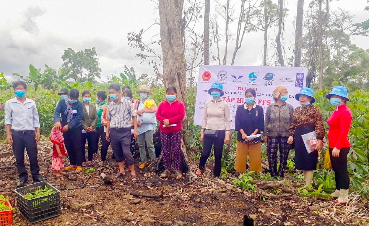 Người Ba Na xã An Toàn được Bidiphar tập huấn và chuyển giao kỹ thuật trồng cây dược liệu, tạo sinh kế bền vững. (Ảnh T.N)