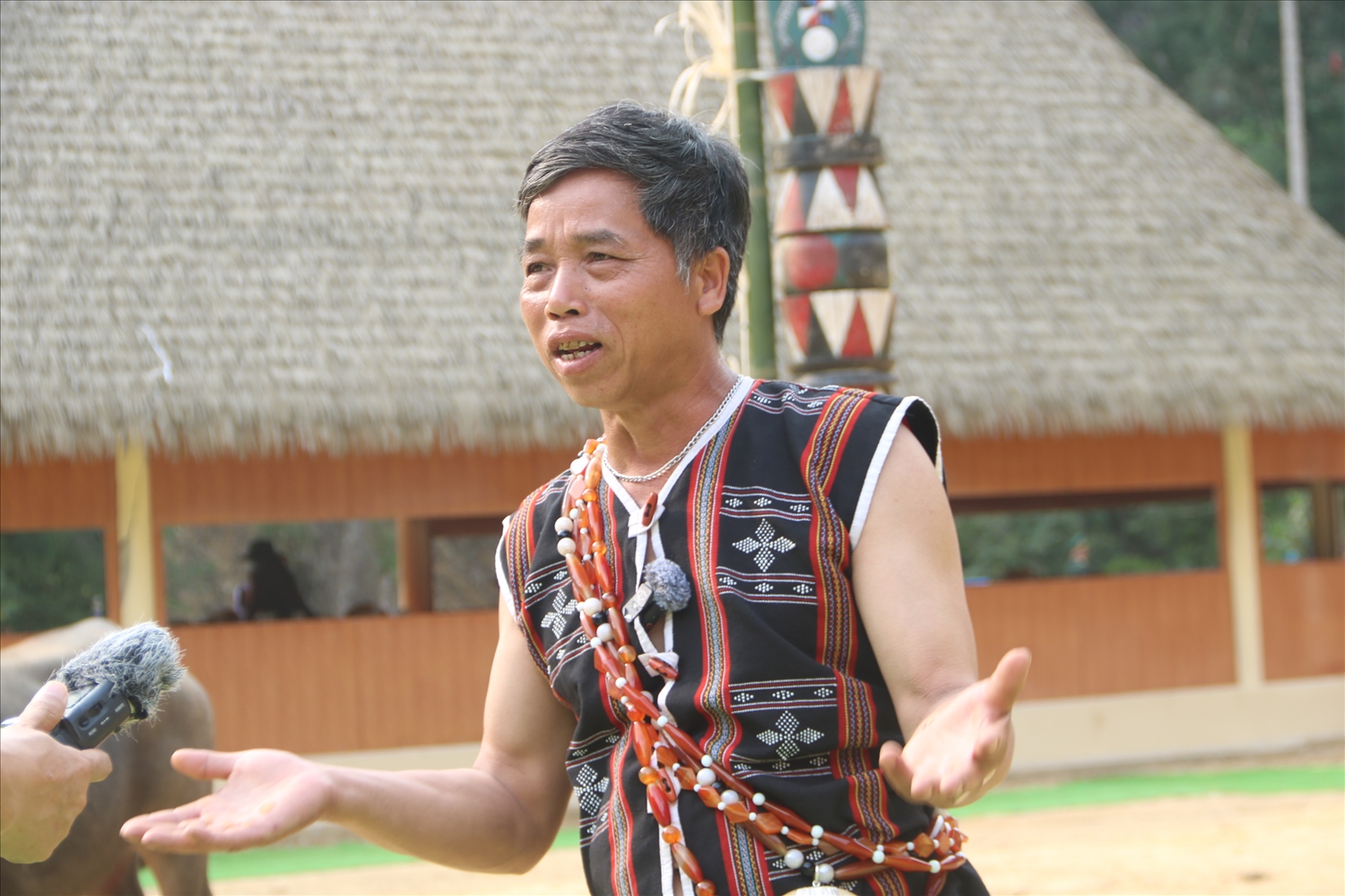 Già làng Hồ Văn Mới kể về rừng pơ mu quý hiếm trên đỉnh Zi'liêng. (Ảnh HT)