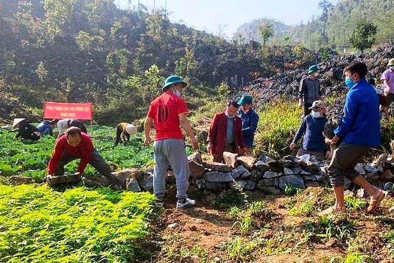Chương trình thực hiện trên phạm vi cả nước; ưu tiên các xã, thôn đặc biệt khó khăn, vùng đồng bào DTTS và miền núi, an toàn khu, biên giới và hải đảo (Ảnh TL).