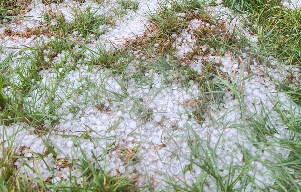 Những trận mưa đá với hạt lớn bằng ngón tay rơi dày, phủ trắng mặt đất ở khu vực thôn Đăk Chum 1, xã Tu Mơ Rông