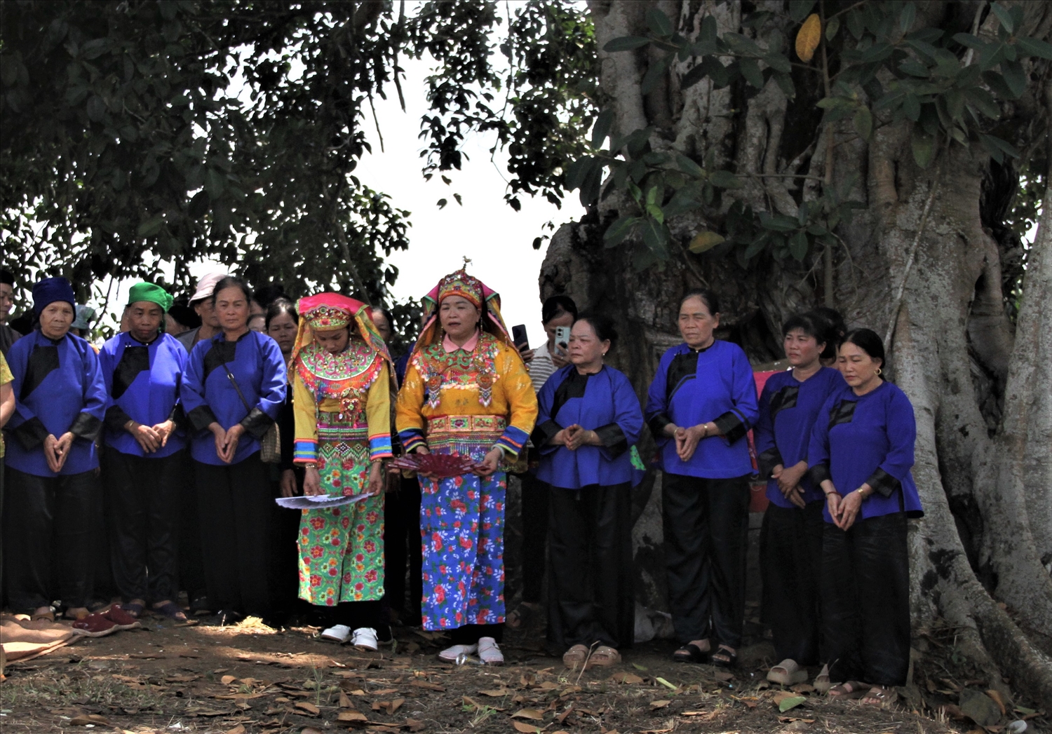 Thầy cúng và người dân thôn Tam Hiệp, xã Tam Giang thực hiện cúng thổ công tại cây đa cổ thụ