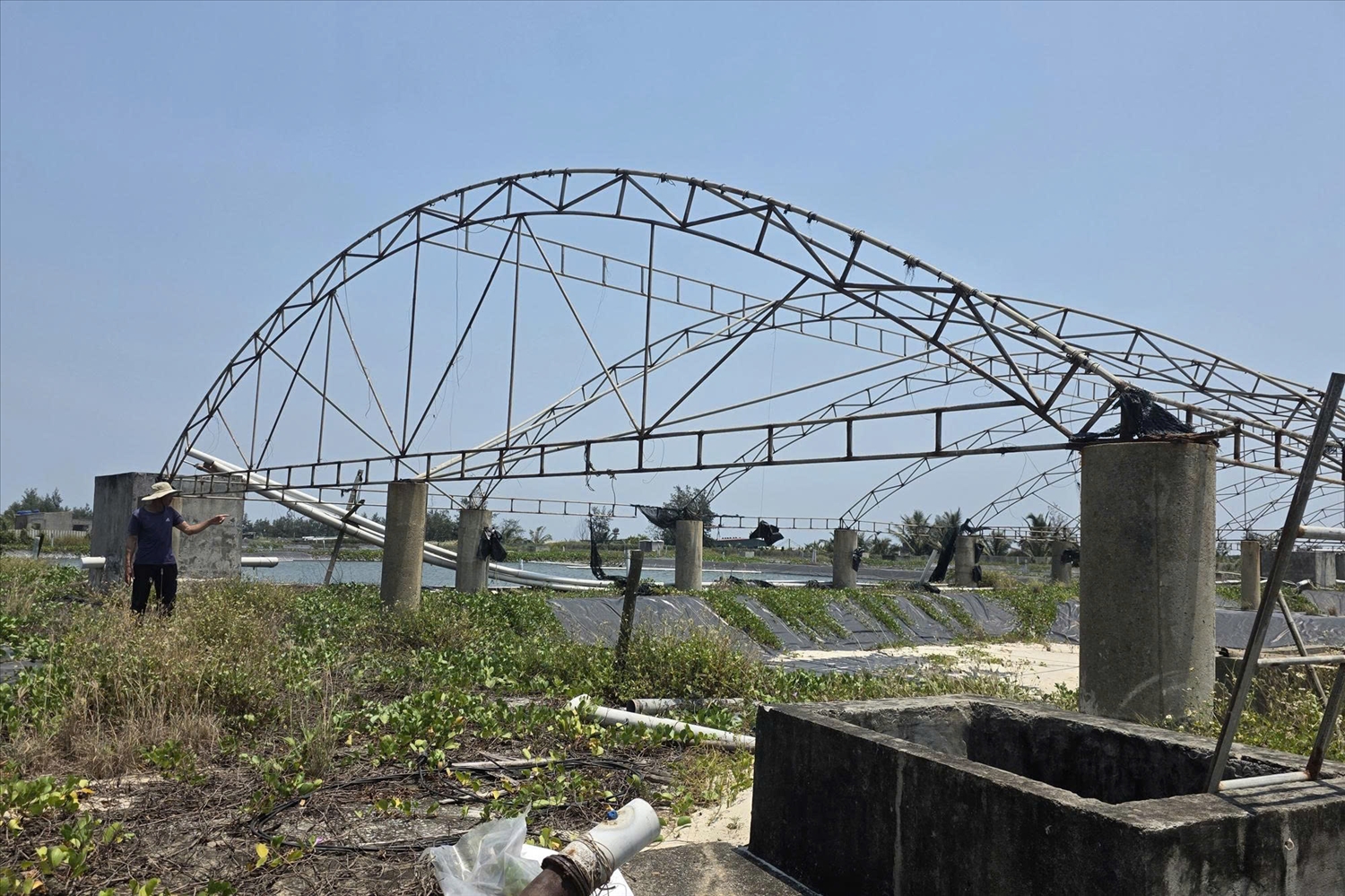 Đầu tư lớn vào nuôi tôm, khiến không ít gia đình phải bị phát mại nhà ở (Ảnh: Phạm Tiến)