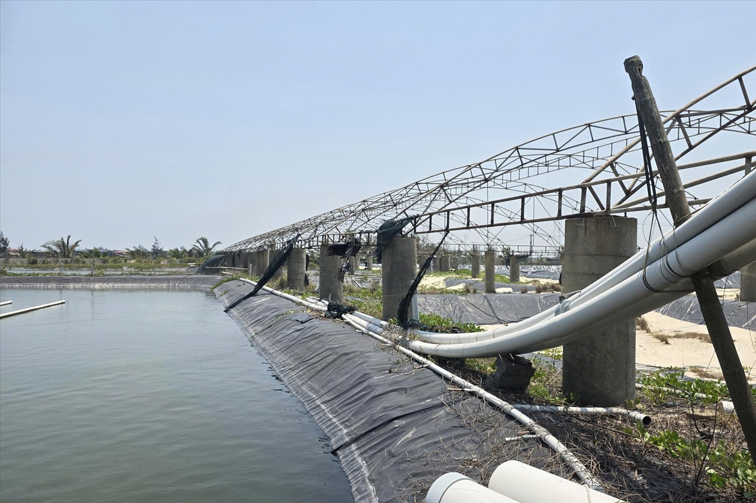 Những đầm tôm mang lại tiền tỷ giờ dây trở thành gánh nặng nợ nần của nhiều gia đình (Ảnh: Phạm Tiến)