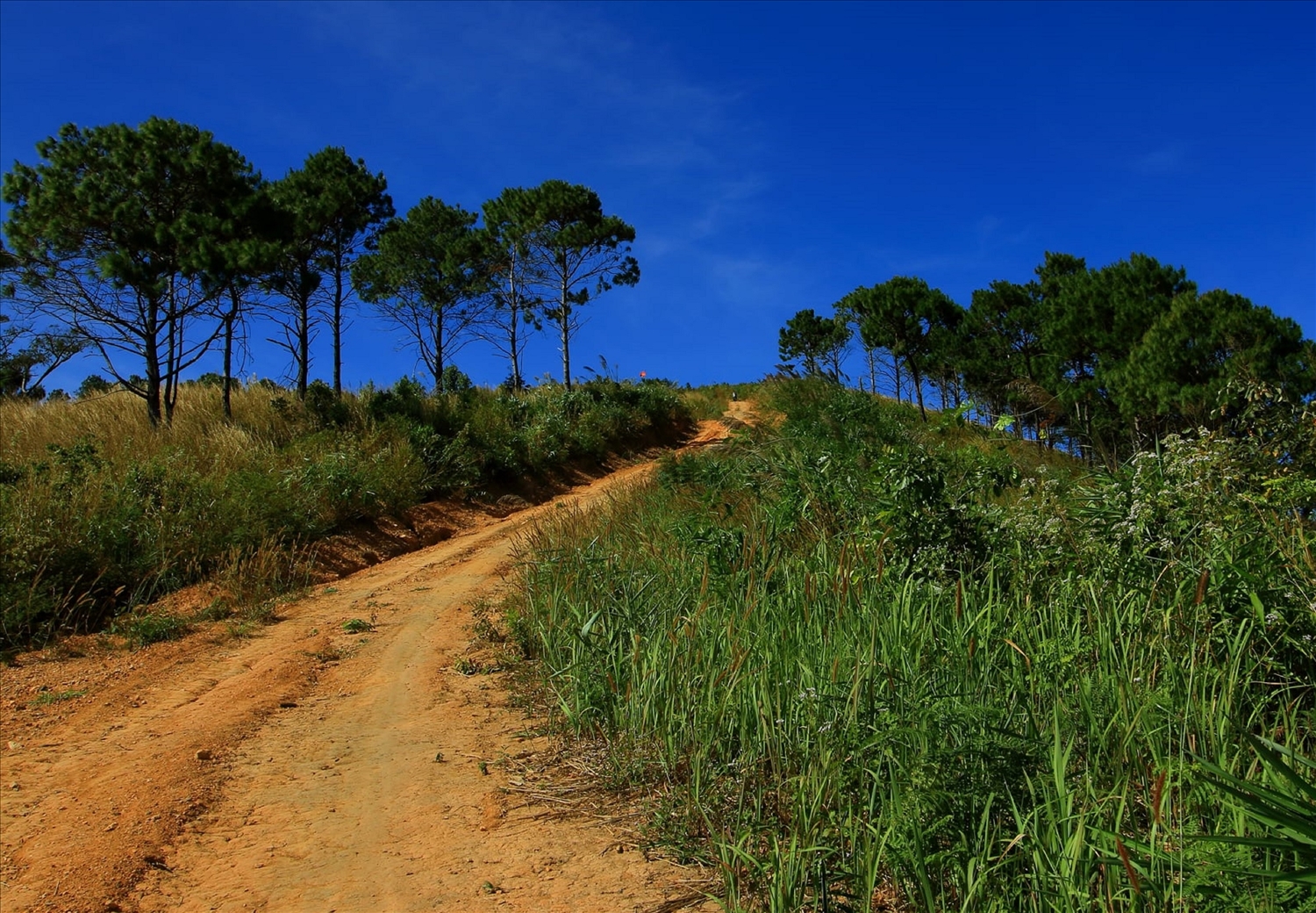 Đường lên đồi Sạc Ly và căn cứ Delta vẫn rất khó khăn, nhưng đã xanh lại màu xanh bình yên.