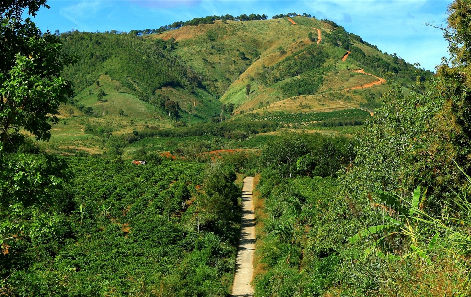 (Bài CTV chủ đề ngày 30/4) Gió “kể chuyện” trên đồi Sạc Ly 1