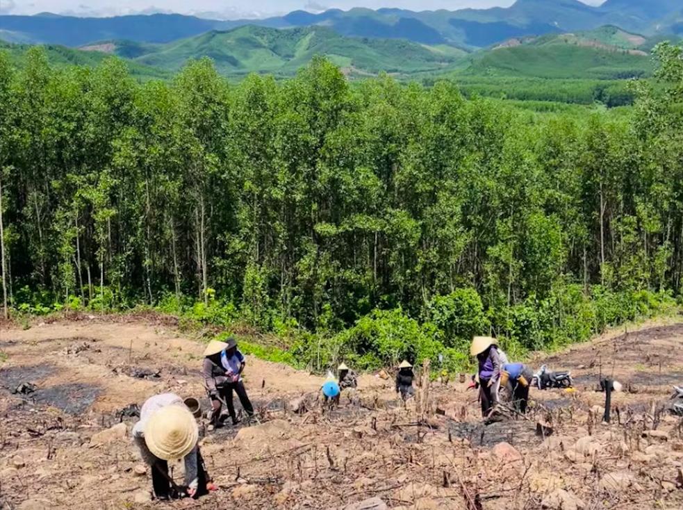 Thời gian này, đồng bào tập trung phát dọn cây cỏ, cuốc đất để chuẩn bị vào mùa trỉa lúa rẫy mới. (Ảnh: D.Đ)