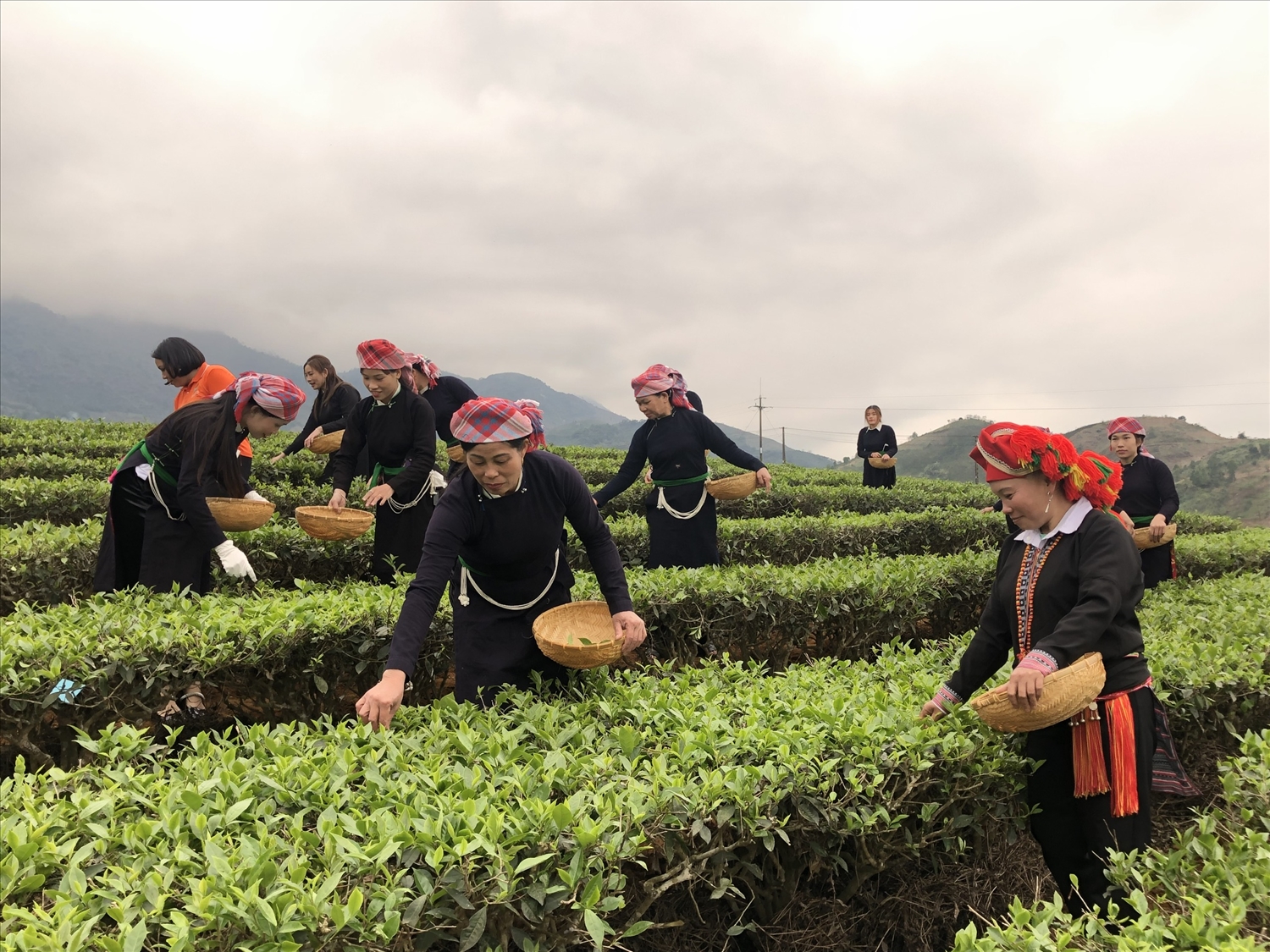 Tỷ lệ hộ nghèo trong đồng bào DTTS ở Lào Cai giảm bình quân 6,99%/năm (Ảnh Trọng Bảo)