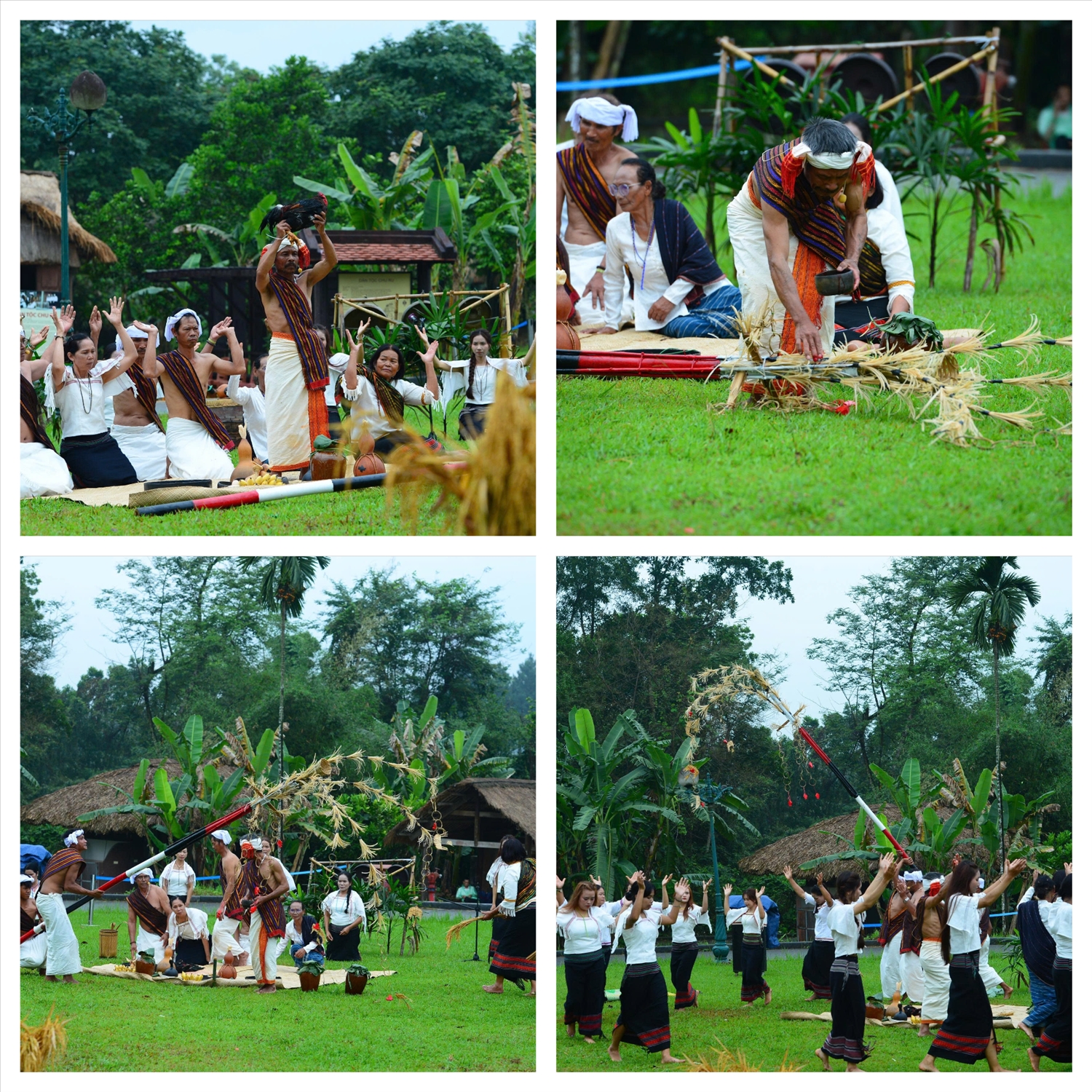 Già làng, chủ ruộng và dân làng thực hiện nghi thức khấn mời thần linh, dựng cây nêu mở đầu buổi lễ