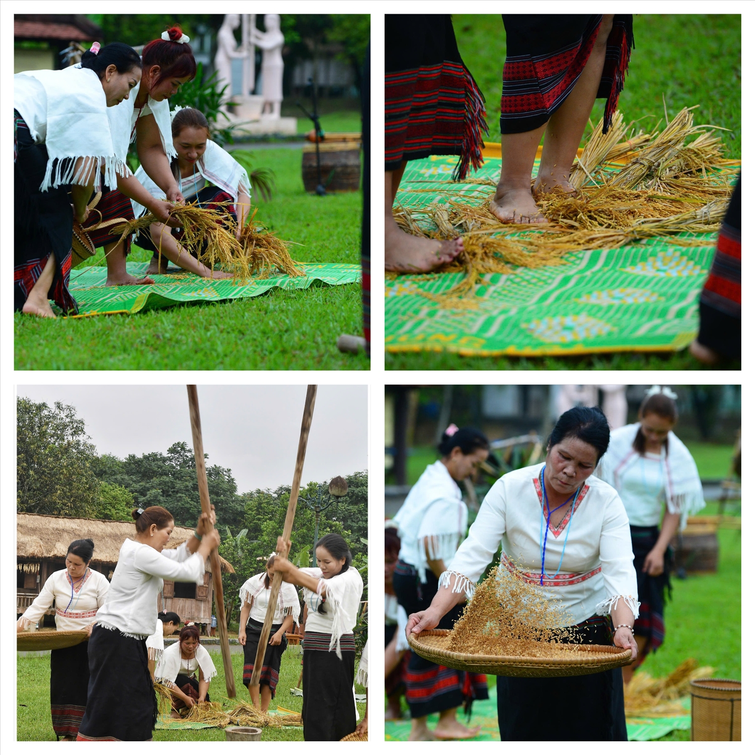 Các công đoạn đập lúa, giã lúa, gom thóc được tái hiện sinh động