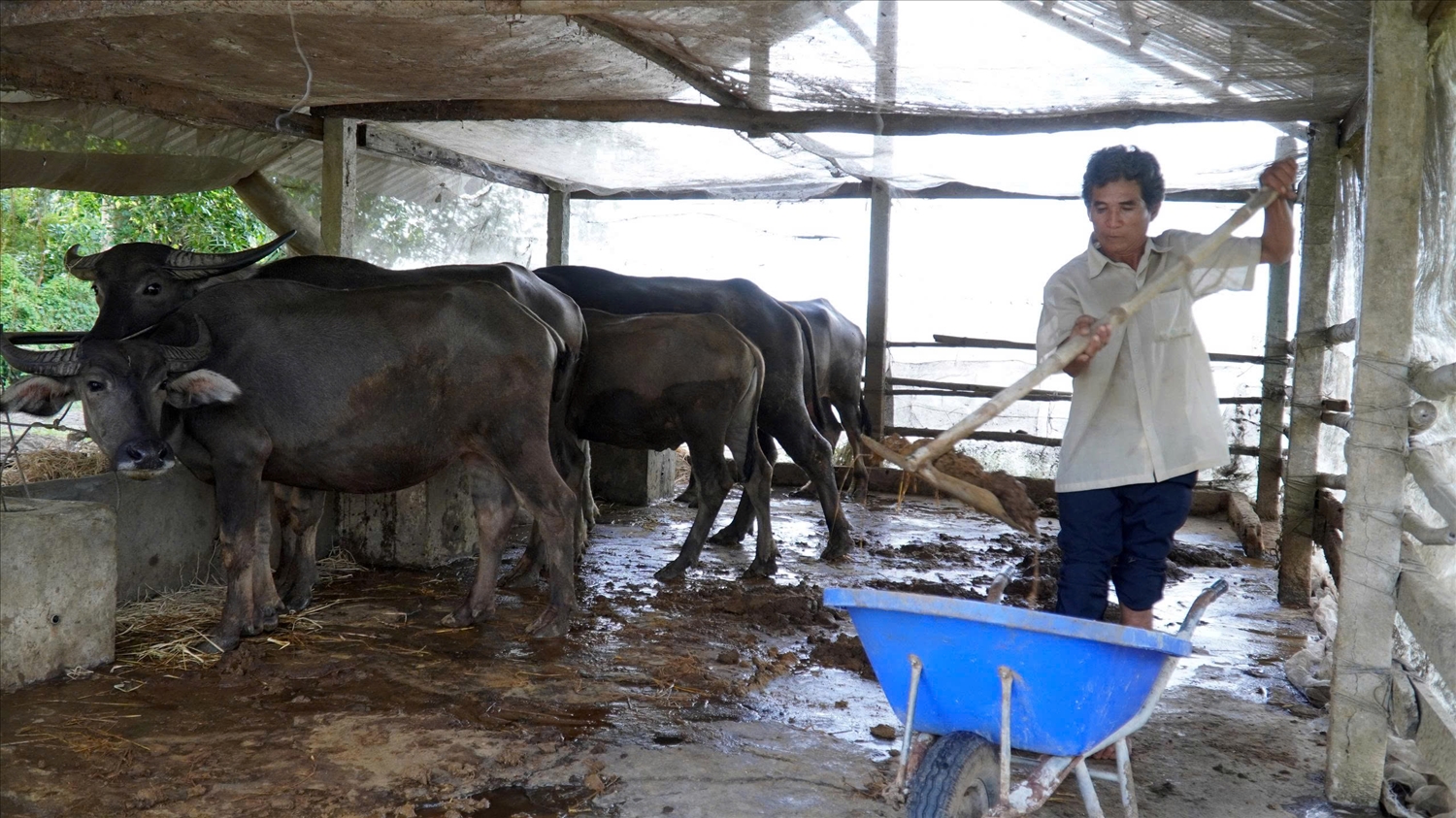 Gia đình ông Danh Be là một trong những hộ Khmer tiêu biểu trong phát triển kinh tế, vươn lên làm giàu ở xã Định Hòa