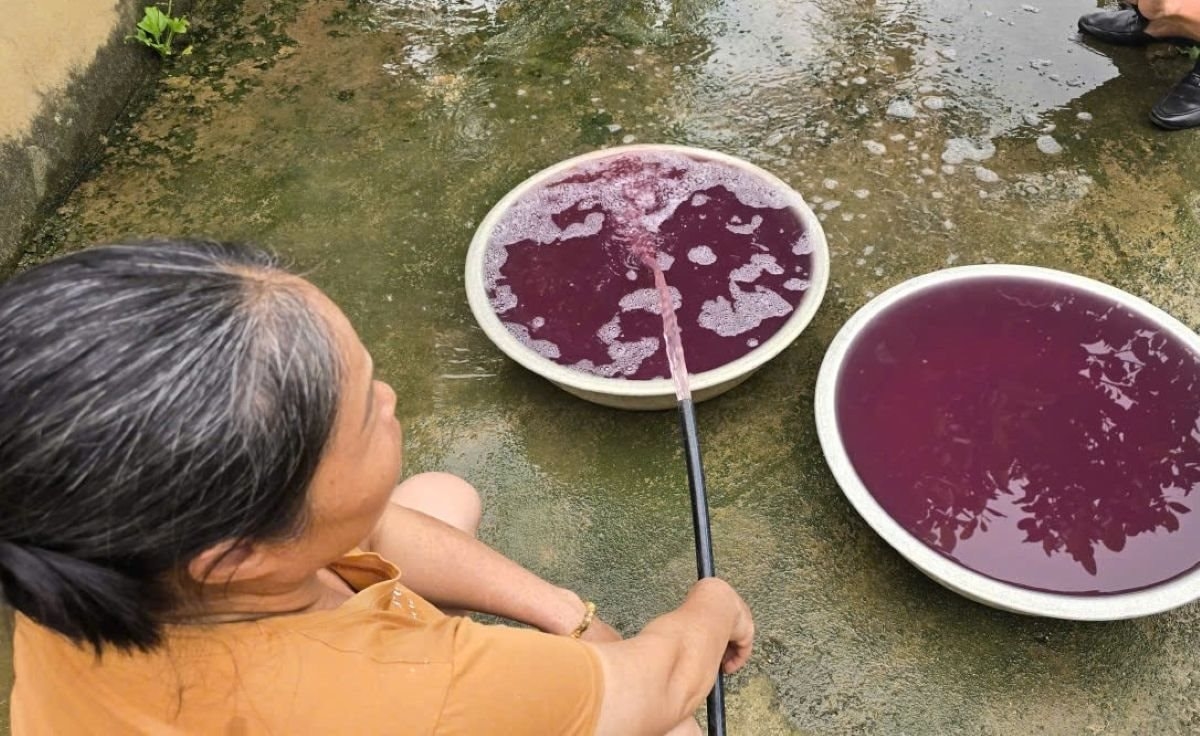 Nước giếng khoan của người dân thôn Quảng Trung (xã Thạch Quảng, Thanh Hóa) đổi màu tím bất thường, gây lo ngại về ô nhiễm môi trường.