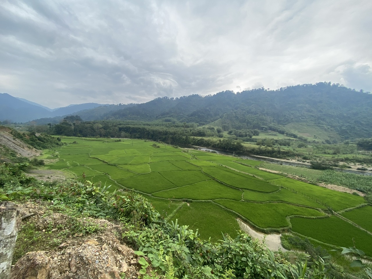 Khi con đường còn dang dở, bản làng Đan Lai vẫn còn xa. Và hành trình thoát nghèo của một cộng đồng nhỏ bé giữa đại ngàn vẫn đang phải đi qua những khúc quanh đầy trắc trở.