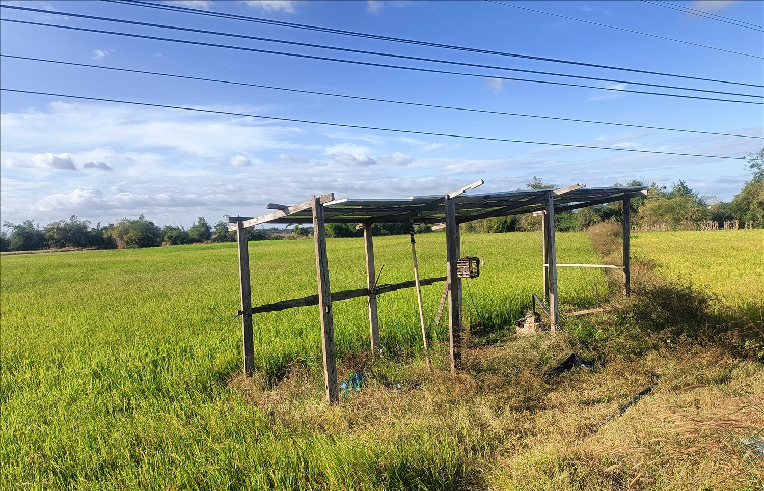 Người dân xã Ea Rốk tự đầu tư khoan giếng, lắp tấm pin năng lượng mặt trời ngay tại ruộng.