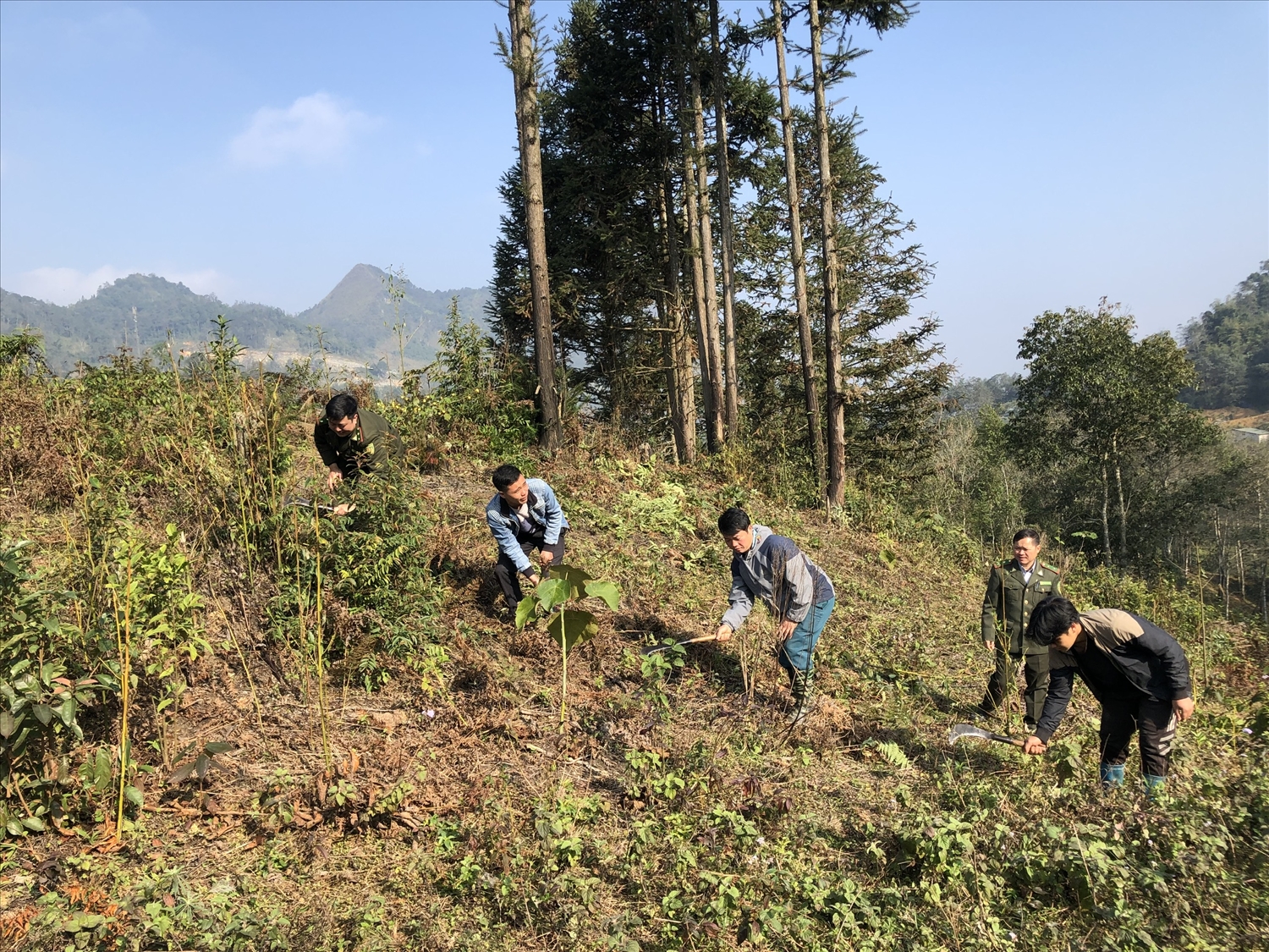 Người dân tham gia cùng lực lượng kiểm lâm phát dọn thực bì, phòng chống cháy rừng (Ảnh Trọng Bảo)