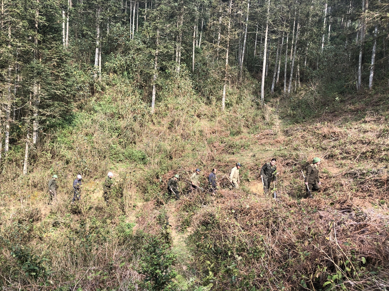 Các lực lượng tăng cường tuần tra, kiểm soát, kịp thời phát hiện những khu vực có nguy cơ xảy ra cháy rừng (Ảnh Trọng Bảo)