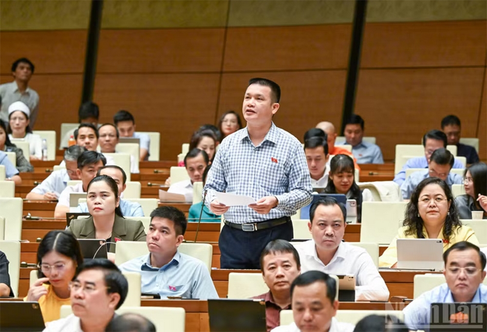 Đại biểu Hoàng Ngọc Định (Đoàn Tuyên Quang). 