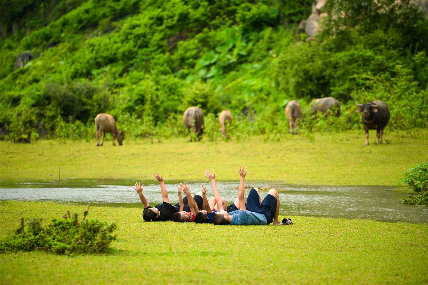 Bình yên Thung lũng Yên Thịnh (Ảnh St)