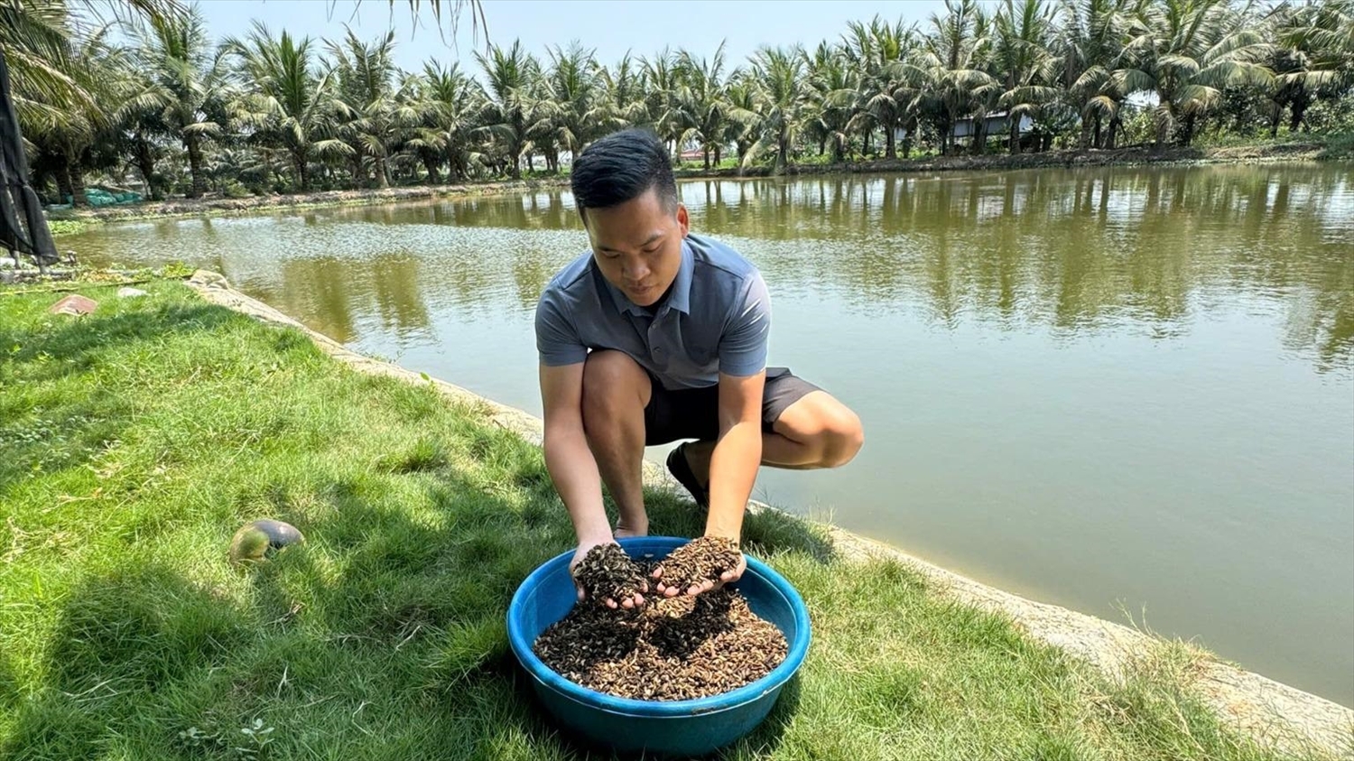 Mô hình nuôi sâu canxi của anh Vũ Văn Quân, thôn Kỳ Sơn, xã Kiến Hưng, TP Hải Phòng giúp gia đình tiết kiệm 50-60% chi phí thức chăn nuôi