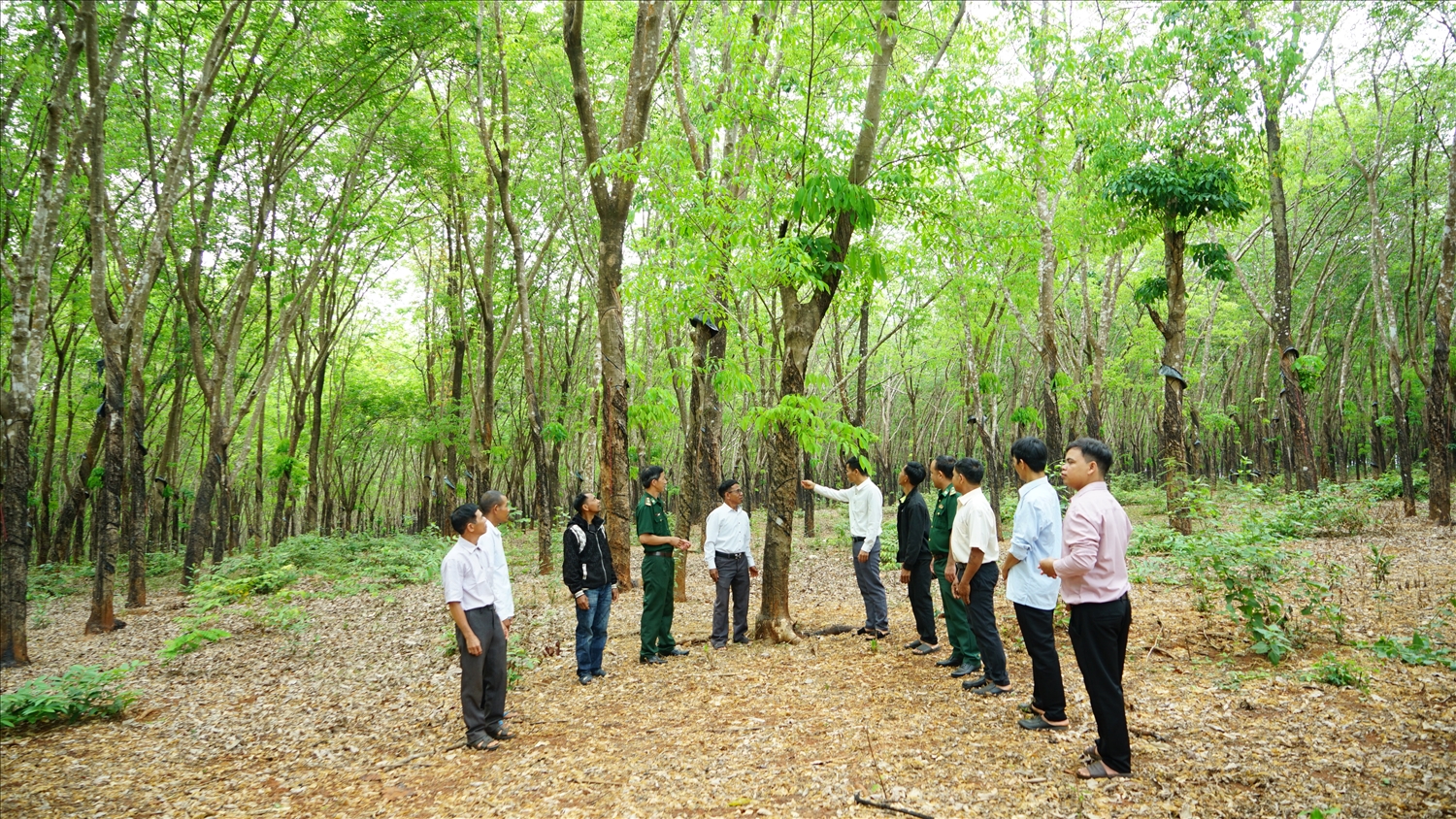 Các thành viên trong Tổ tự quản đã hỗ trợ Nhân dân, chia sẻ kinh nghiệm làm kinh tế, như: Trồng cây cao su, cà phê, điều... để nâng cao đời sống.