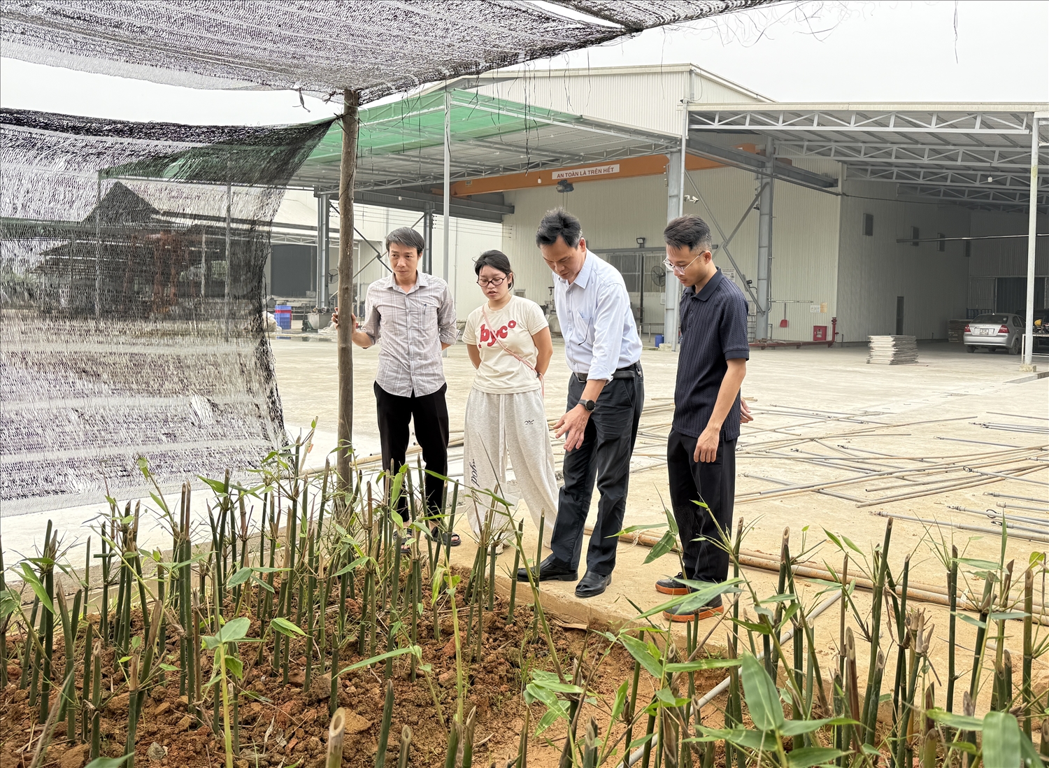 Anh Sổng A Dũng giới thiệu về quy trình ươm cây giống măng Bát Độ tại khuôn viên nhà máy Công ty cổ phần Yamazaki (Nhật Bản)