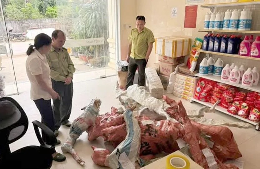 Lực lượng chức năng phát hiện, tạm giữ phôi cây Muội hồng được ký gửi tại Bưu điện xã để xác minh làm rõ.