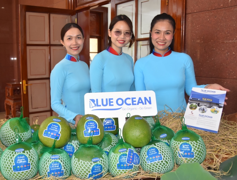 Bưởi Đồng Tháp chính thức xuất khẩu sang Australia (Ảnh IT)