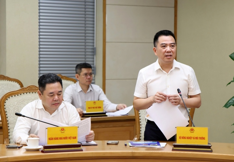 Thứ trưởng Bộ NN&MT Đặng Ngọc Điệp báo cáo tại cuộc họp - Ảnh: VGP/Gia Huy