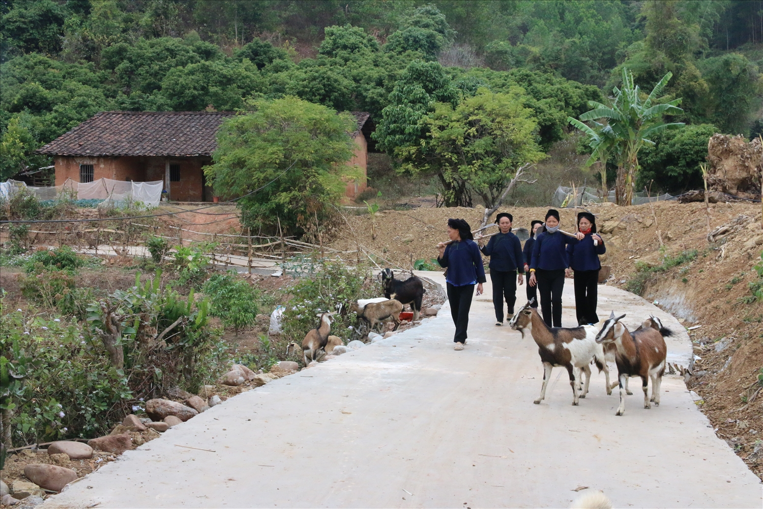 Giai đoạn 2026 - 2030, tỉnh Bắc Ninh có 30 xã, 713 thôn vùng đồng bào DTTS và miền núi và164 thôn đặc biệt khó khăn 