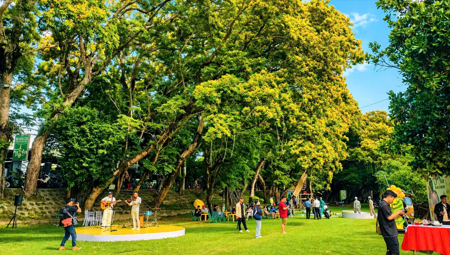 Mùa hoa thu hút nhiều người đến checkin, chụp ảnh kỷ niệm. (Ảnh NT)