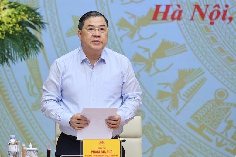 Phó Thủ tướng Thường trực Chính phủ Phạm Gia Túc phát biểu - Ảnh: VGP/Nhật Bắc