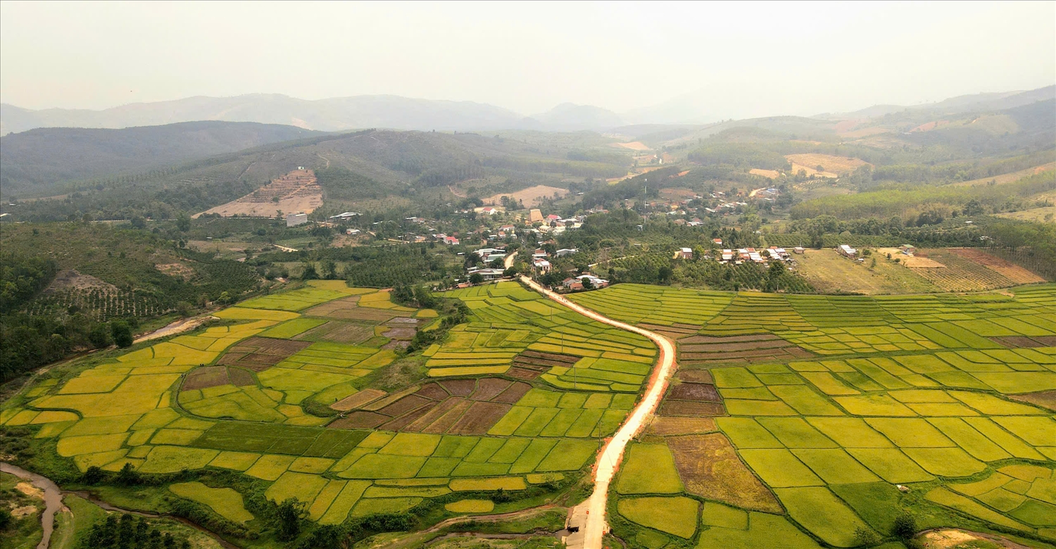 Cánh đồng lúa chín vàng ở làng Kon Jong, xã Ngọk Réo sẽ là điểm nhấn khi du khách đến trải nghiệm các hoạt động văn hóa, du lịch do xã tổ chức vào dịp nghỉ lễ 30/4