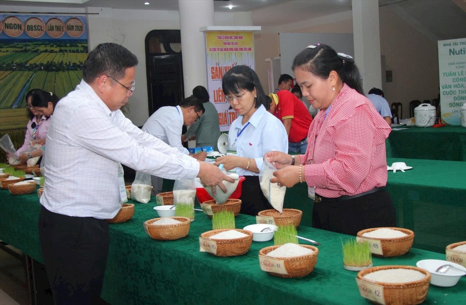 28 đơn vị đăng ký tham gia cuộc thi gạo ngon Đồng bằng sông Cửu Long lần thứ I năm 2026