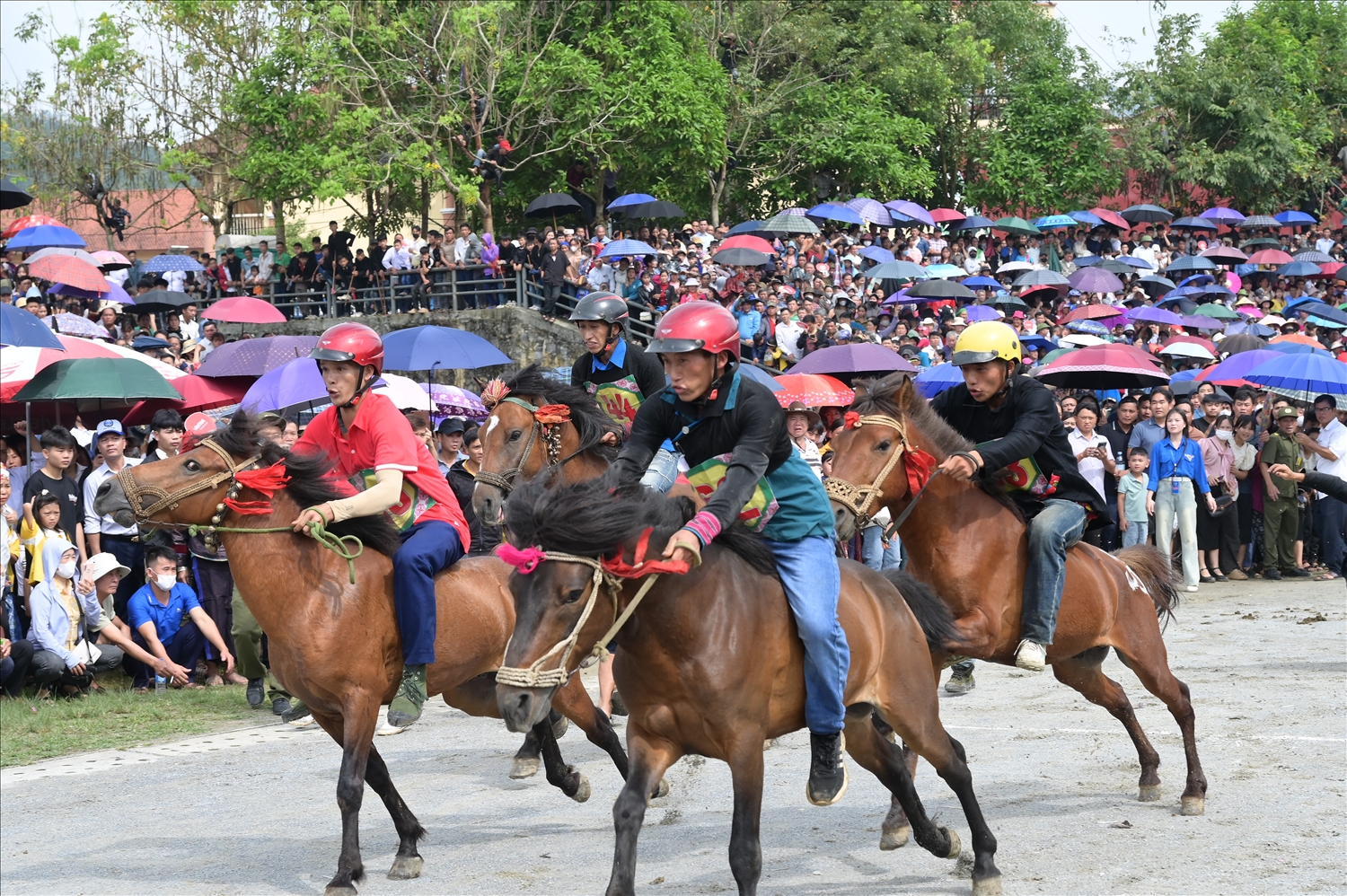 Giải đua ngựa truyền thống lần thứ 19 hứa hẹn sẽ mang đến cho du khách nhiều trải nghiệm thú vị (Ảnh Trọng Bảo)
