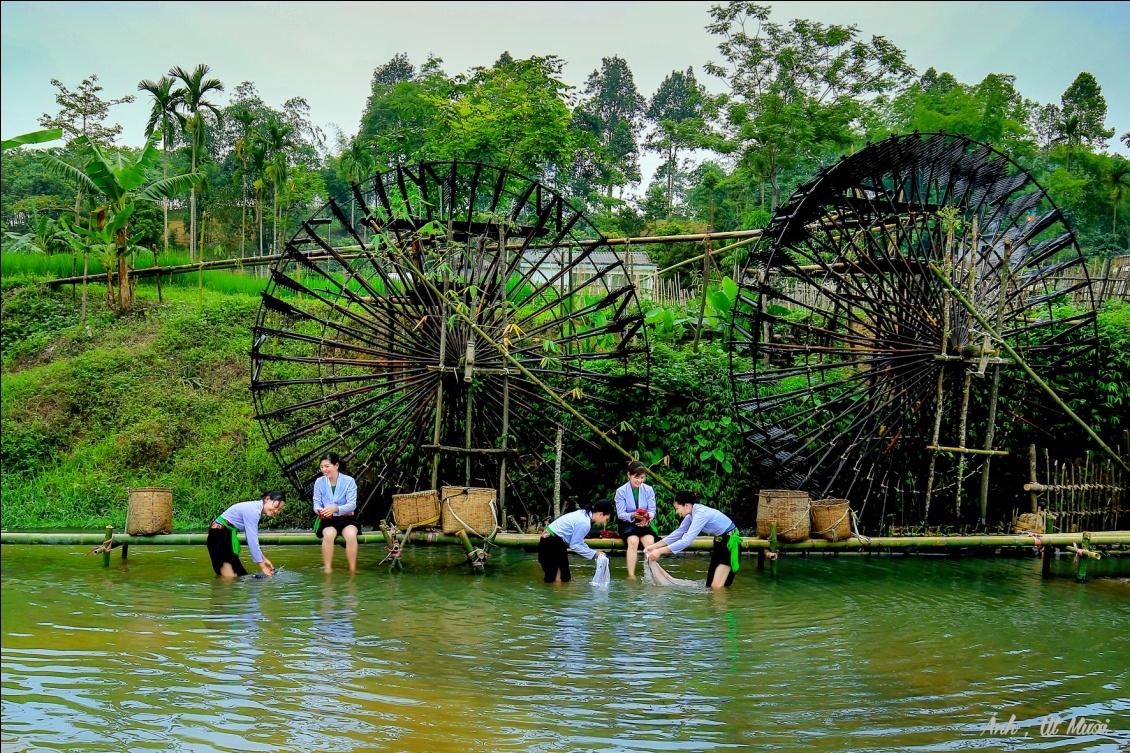 Không ít địa phương đã đưa cọn nước vào các hoạt động du lịch cộng đồng, như một cách để giới thiệu bản sắc văn hóa tới du khách.