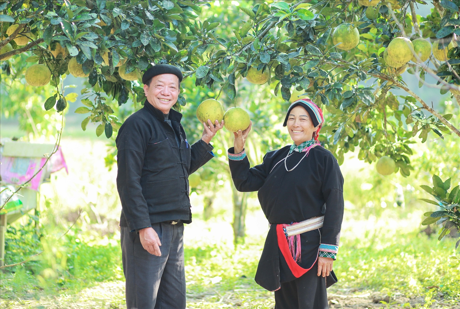 Nhiều hộ đồng bào DTTS tỉnh Tuyên Quang vươn lên phát triển kinh tế, từng bước nâng cao thu nhập và ổn định đời sống